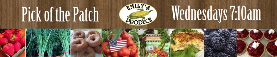 Emilys Pick of the patch WCEI page header Emilys Pick of the patch WCEI page header